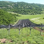 հակակարկտային