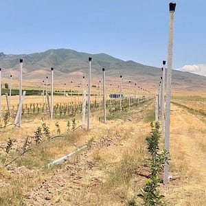 Նախաձգված բետոնե սյուն 7x8 սմ - 450