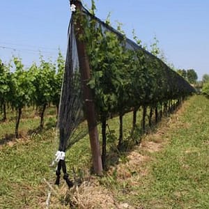 Vertikal H 100-50 top