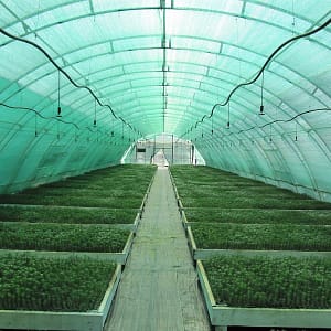 Ստվերացնող ցանց 70 % կանաչ