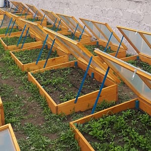 Բարձրացված մարգ wood PL 150/30