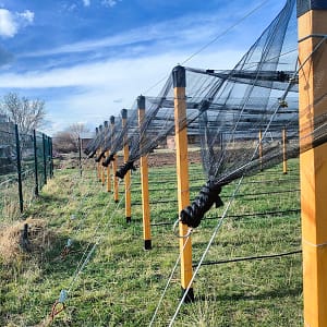 Փայտե սյուն 80/320