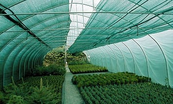 ստվերային ցանց