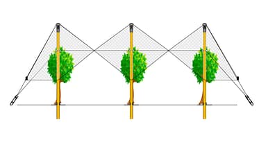 կարկտապաշտպան համակարգ