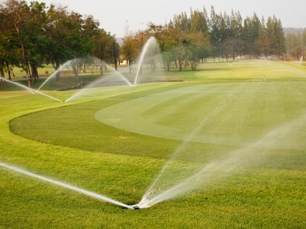 ցնցուղային ոռոգում