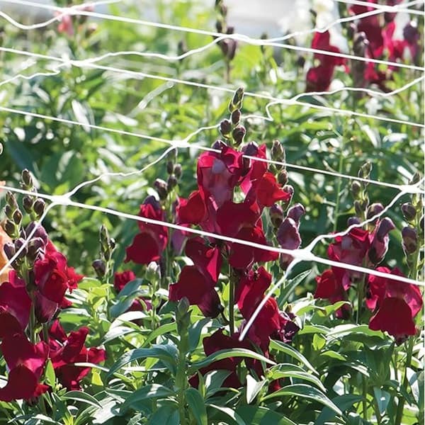 91KUiJ8c0-L._AC_SX679_