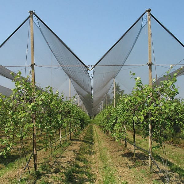 համակարգեր