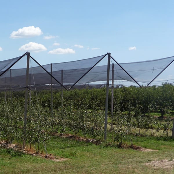 կարկտապաշտպան համակարգ