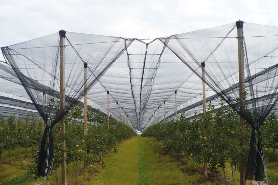 հակակարկտային համակարգ